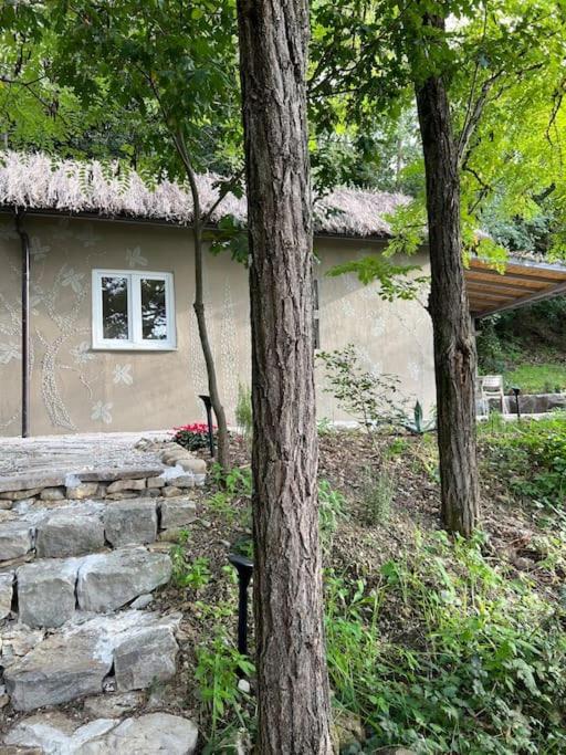 Eco-Chic Retreat: Countryside Oasis Near Florence Pozzolatico المظهر الخارجي الصورة